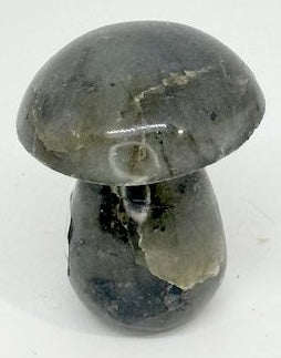 CHAMPIGNON LABRADORITE