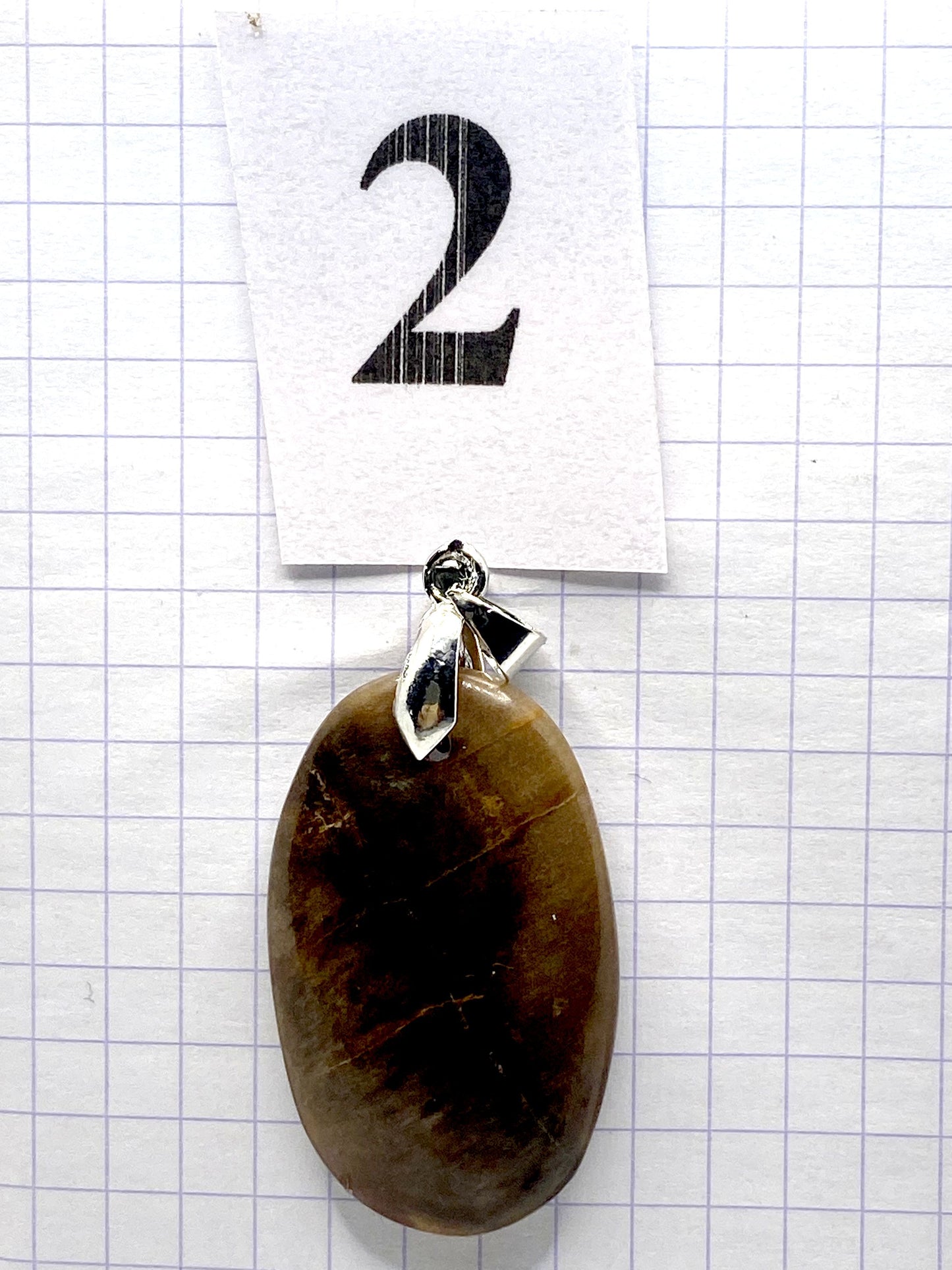 pendentif BOIS SILICIFIE