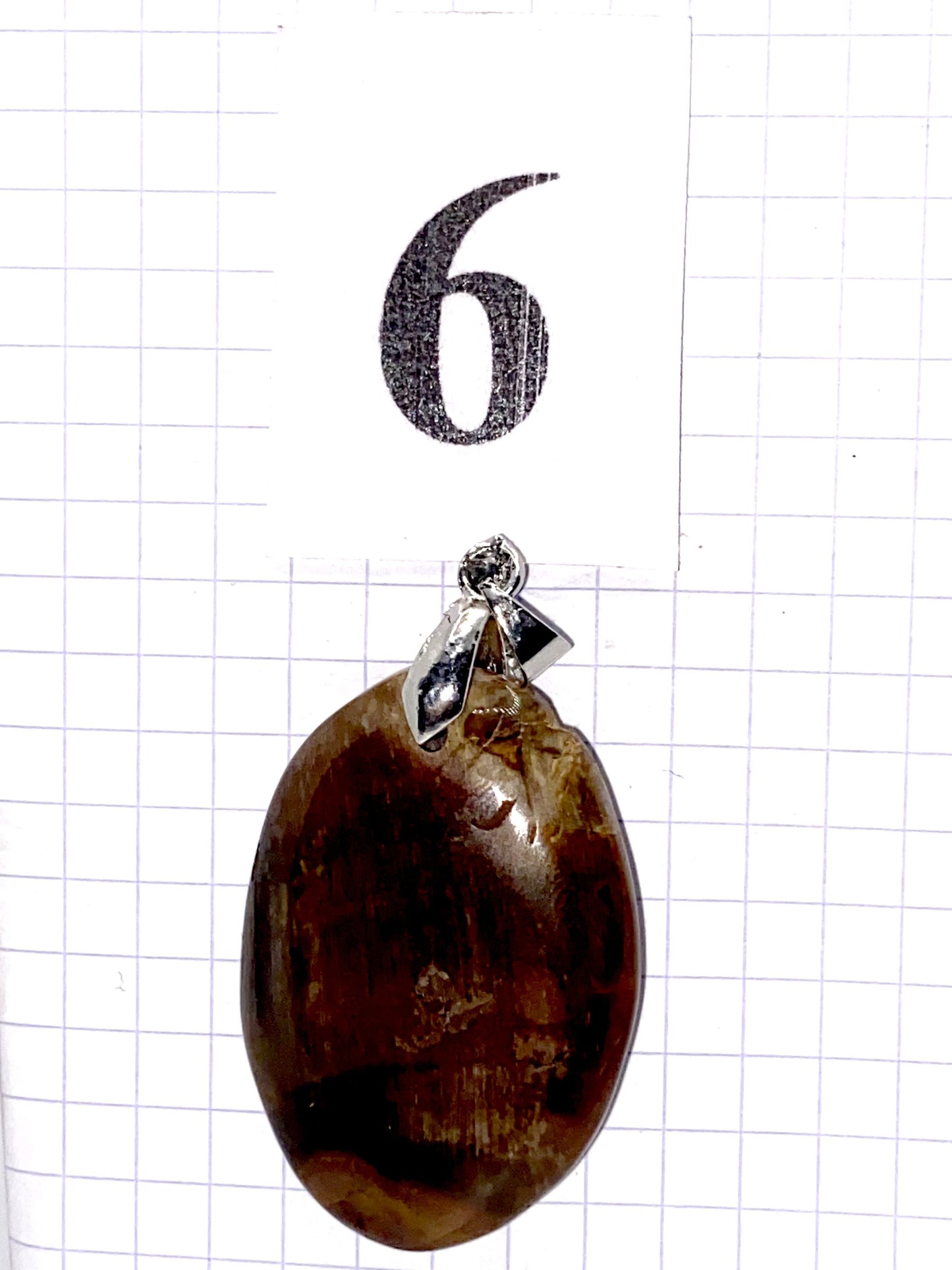 pendentif BOIS SILICIFIE