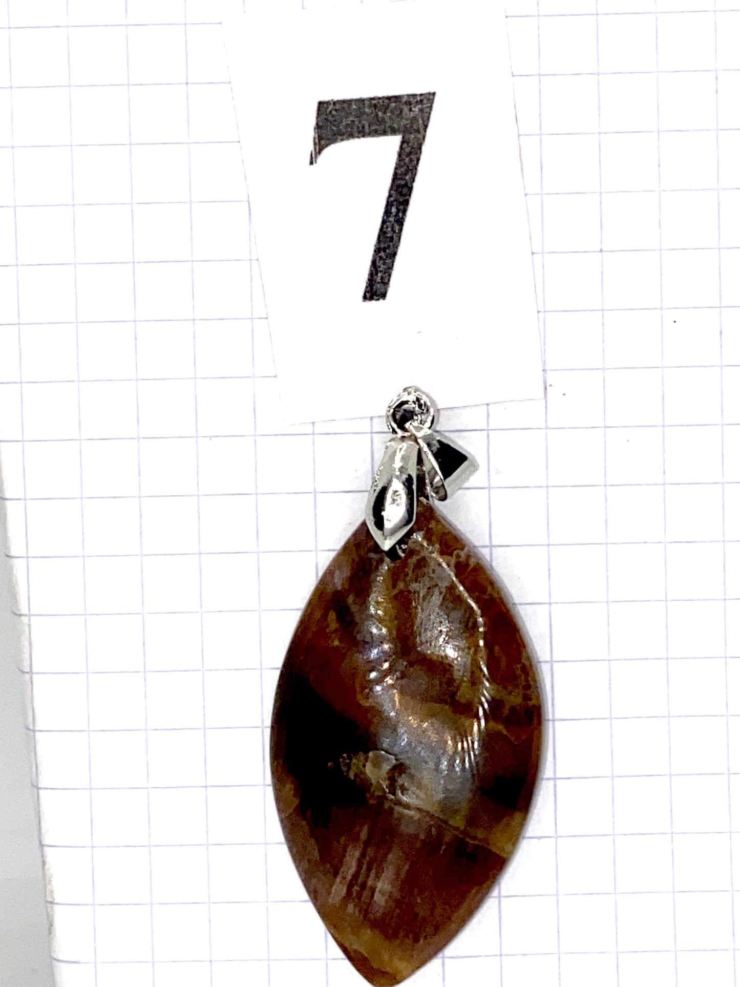 pendentif BOIS SILICIFIE