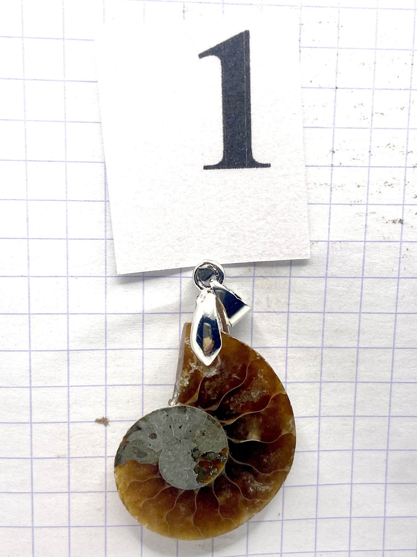 pendentif AMMONITE