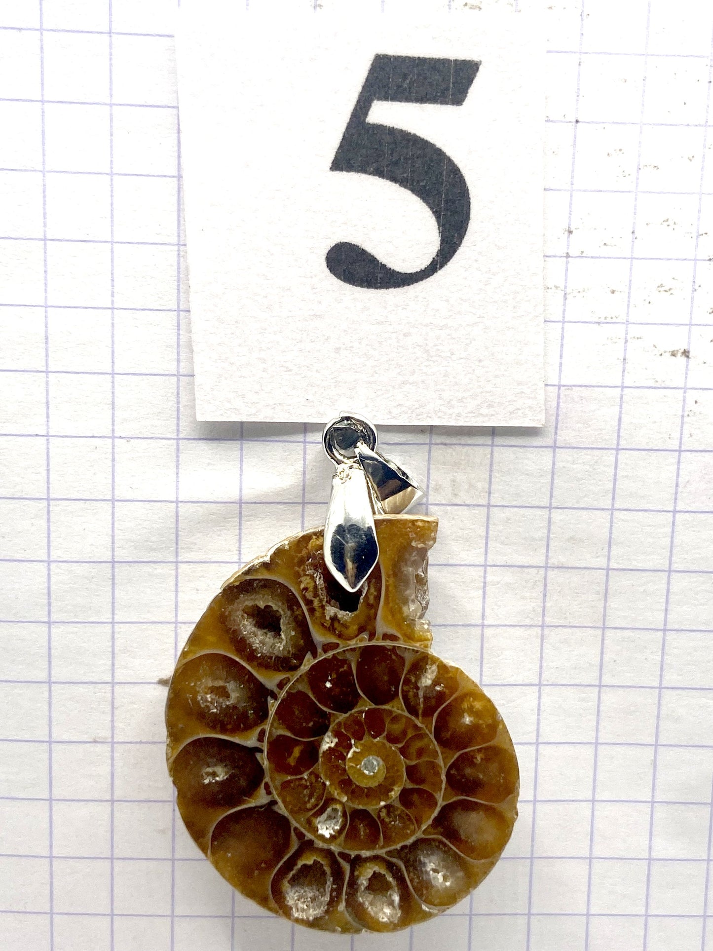 pendentif AMMONITE