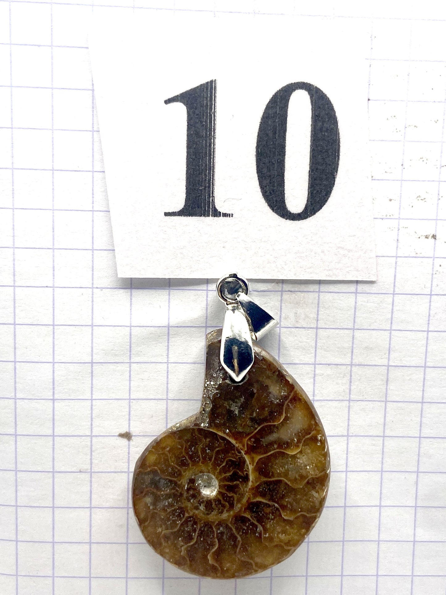 pendentif AMMONITE