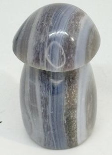 CHAMPIGNON QUARTZ FUME