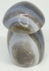 CHAMPIGNON QUARTZ FUME