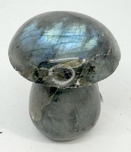CHAMPIGNON LABRADORITE