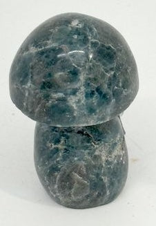 CHAMPIGNON APATITE BLEU