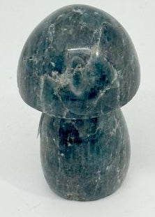 CHAMPIGNON APATITE BLEU