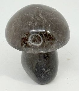 CHAMPIGNON QUARTZ FUME