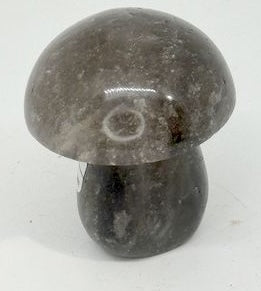 CHAMPIGNON QUARTZ FUME