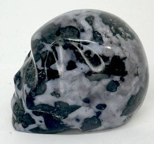 CRANE GABBRO